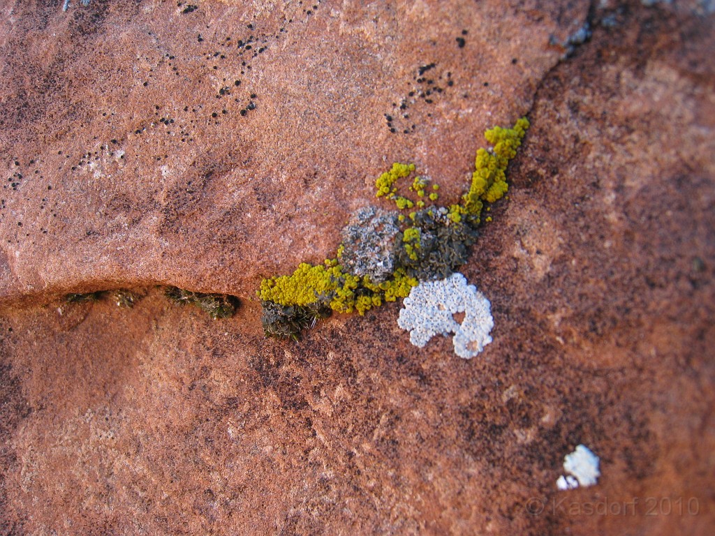 Las Vegas 2010 - Red Rock 0701.JPG - The 2010 Las Vegas Fire - Ice and Sweat Tour. Half Marathon, Red Rock Canyon, Casinos, Valley of Fire.... and buffets!